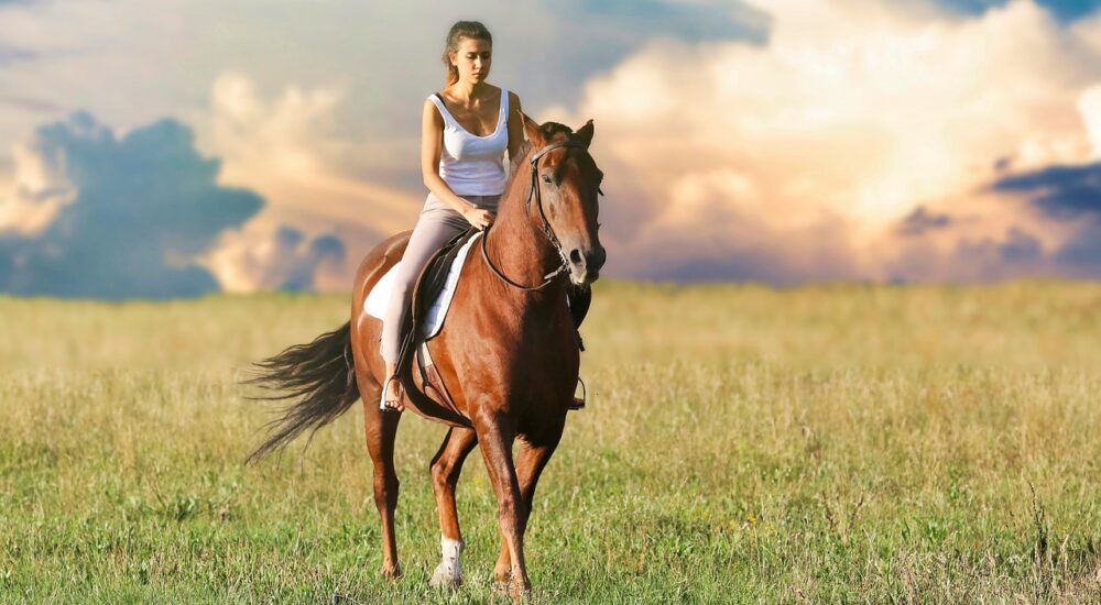 woman-3432069_1280 woman-3432069_1280