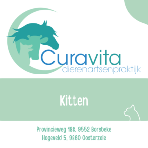 Voeding Curavita kitten 3kg