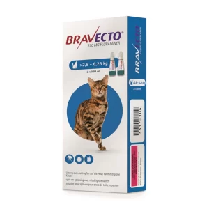 BRAVECTO 250MG SPOT ON OPLOSSING MIDDELGROTE KAT (>2.8KG-6.25KG) 1 PIP
